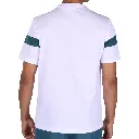 41237-1047-4.webp
