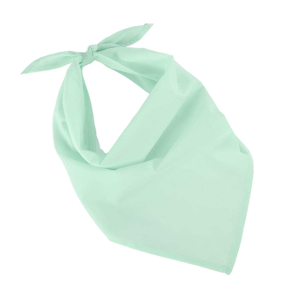 K-up Fiesta - Bandana Frost Green (KP064)