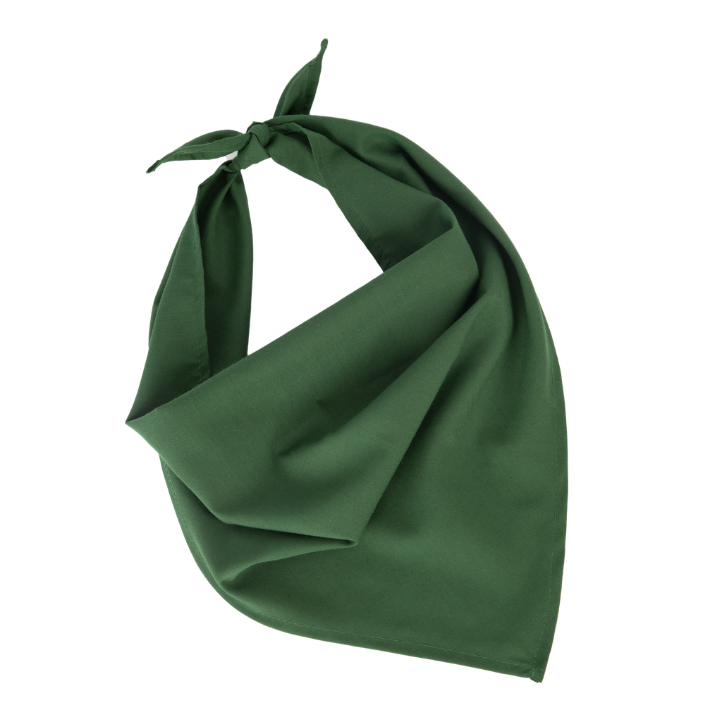 K-up Fiesta - Bandana Pasture Green (KP064)